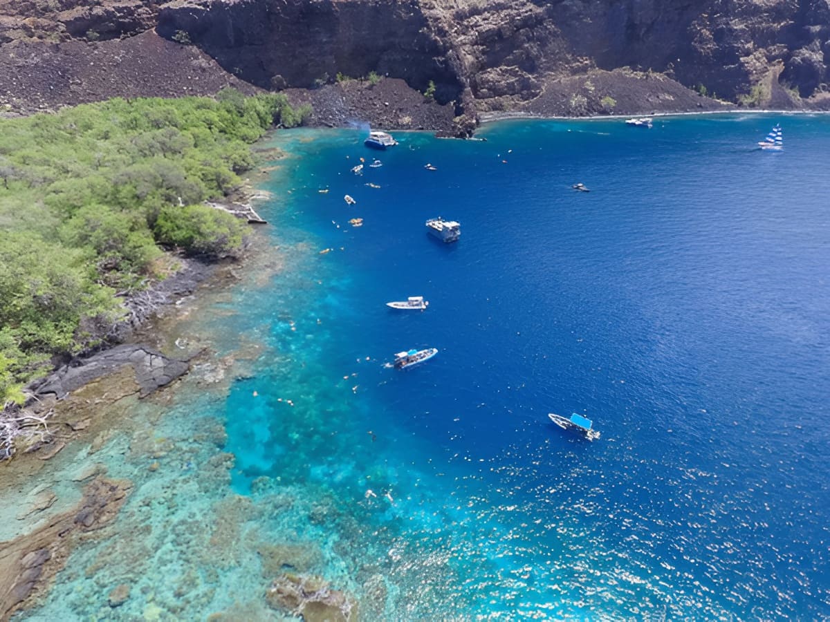 Dolphin Discoveries Captain Cook Snorkel Adventure